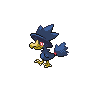 noctowl
